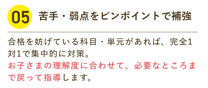 苦手・弱点をピンポイントで補強 合格を妨げている科目・単元があれば、完全1対1で集中的に対策。お子さまの理解度に合わせて、必要なところまで戻って指導します。