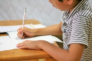 精神年齢と学力