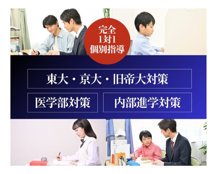 中高一貫校生専用オーダーメイドプラン