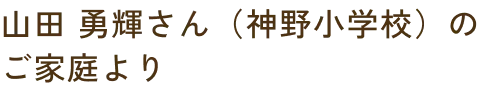 profileNameImg